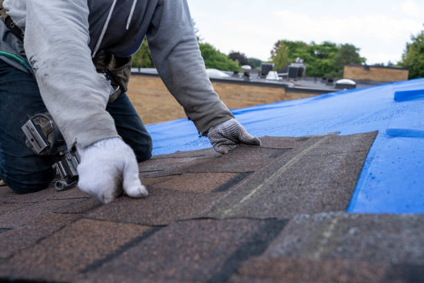Best Flat Roof Repair Services  in Dry Ridge, KY