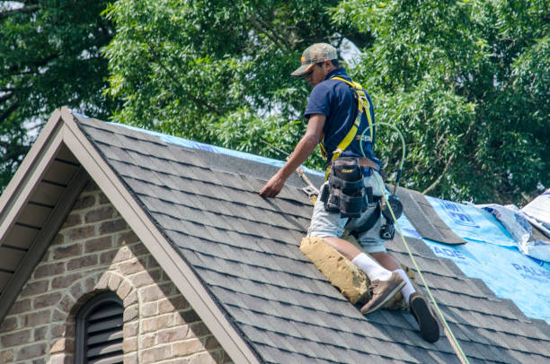 Best Roof Maintenance Services  in Dry Ridge, KY